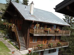 Image of Bärgblüemli EG Süd by Interhome