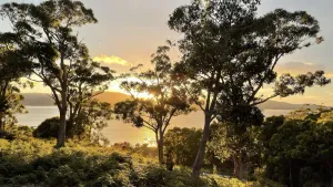 Image of A cosy getaway you won't want to leave