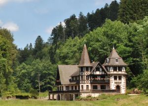 Image of A holiday in the Petite Pierre in the middle of the forest