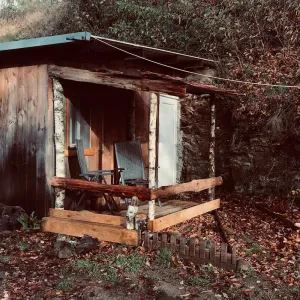 Image of La chambre de Bouleau dans La Foret du Dragon