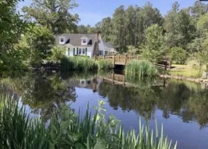 Image of Lazy Dog Acres