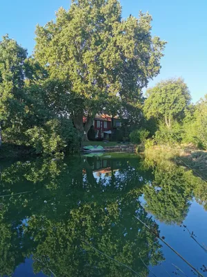 Image of Mas on large wooded plot with natural swimming pond.