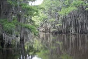 Image of 2 story Waterfront home on Big Cypress Bayou Caddo Lake