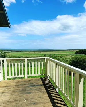 Image of Cottage on orchard acreage with ocean views