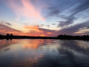 Image of Beautiful Waterfront • Scenic & Relaxing • Manatees • Kayaker’s Paradise