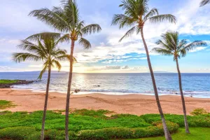 Image of Beachfront Condo B303 May 28-June 10 available at special rate of 650 per night