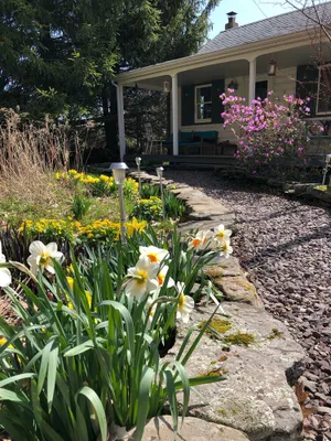 Image of Secluded Romantic Cottage