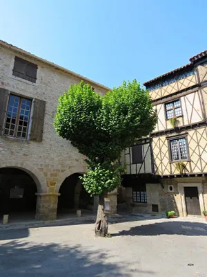 Image of MAISON DE NOSTRADAMUS*** OCCITANIE INSOLITE