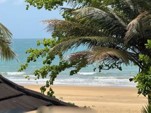 Image of Fish on a Fence - Absolute Beachfront