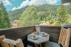 Image of Résidence Grand Roc - Ancolies 103 - Happy Rentals