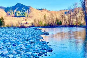 Image of -Lewisia Lodge River Retreat