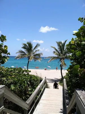 Image of KOZY COTTAGE - June dates open! 2.7 m from beach, UVC clean,