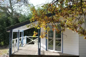 Image of Les bambous