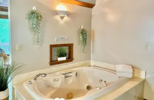 Image of Romantic Bridal Suite Rentals - Bridal Suite 2