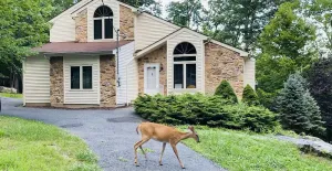 Image of Hot Tub, Pool, Game Room and more fun for the whole family