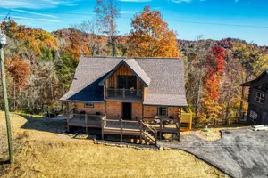 Image of Dogs, Indoor Pool, Hot Tub & Games Near Waterpark