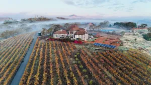Image of The Wine Country Villa