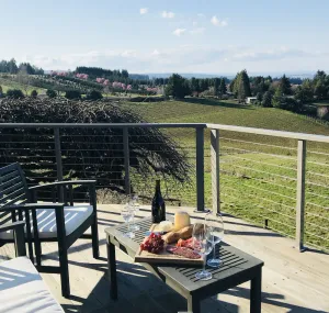 Image of Wine country with views