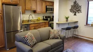 Image of Location, Location! Downtown Luxury 1 Bedroom Apt