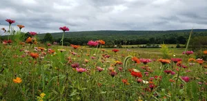 Image of One of a kind, private, beautiful rustic cabin in the Laurel Highlands