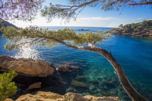 Image of Self-contained studio near calanques Cassis Aix Marseille