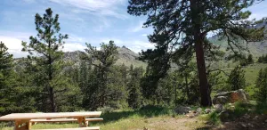 Image of Remote relaxing and peaceful cabin to escape busy lifestyles