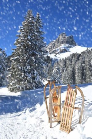 Image of Parkareal (Utoring) by Interhome