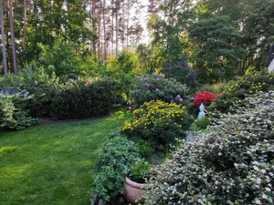 Image of Vacation apartment close to nature ideal for relaxation
