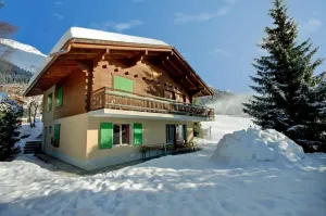 Image of pâquerette rez