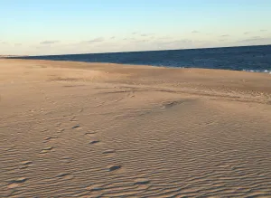Image of Private beach-Walk from Delightful Summer Cottage