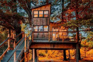 Image of Treehouse - Countryside - Farm Animals - Fire Pit