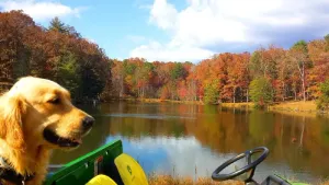 Image of Palm Lake Cottage: 5-Star Country Comfort