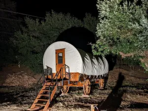 Image of Stunning Hand-Crafted Authentic Covered Wagon