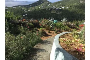 Image of Panoramic view