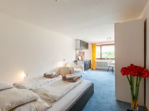 Image of Cosy Apartment in Sibratsgfall With Garden