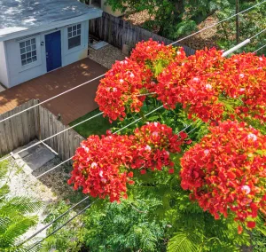 Image of Coastal Bliss: Fenced Yard, 4K TV, Near Beaches!