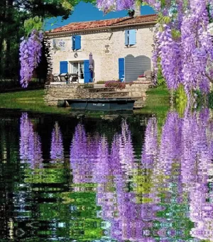 Image of MARAIS POITEVIN bord rivière pêche ,barque, vélos, wifi, linge, cheminée, cuisine, terrain de boules