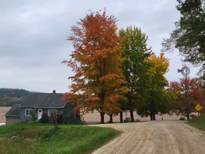 Image of Country Serenity at The Resting Windmill