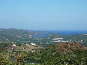 Image of House \/ Villa - Oletta