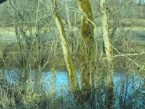 Image of Red River Gorge\/Natural Bridge Cabin Rental