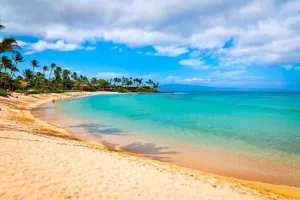 Image of Summer Special -Ocean View Renovated Condo in Napili LSV06