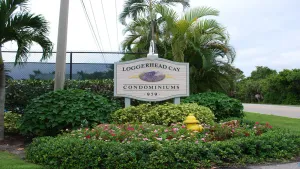Image of Brand new Gulf Front 2 bedroom condo, pet friendly, 4 bikes, pool & tennis