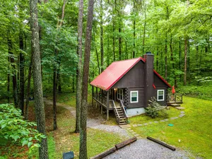 Image of Red Roof Cabin in the woods
