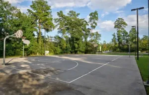 Image of Woodlands Modern Cottage w\/Private Patio & BBQ Pit