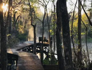 Image of Wakulla River Waterfront Retreat