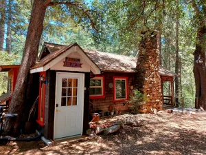 Image of Peaceful 1920s Cozy Cabin snuggled in 100 ft Pines -Palomar Mt, Bailey Meadows
