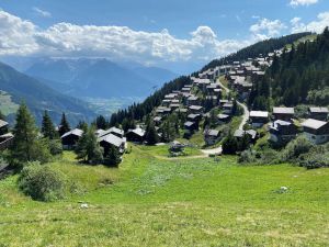 Image of Family-friendly three-family chalet \"Thomson\" on the Bettmeralp