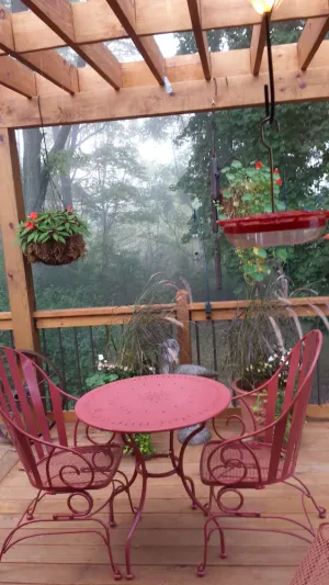 Image of Travelers Sanctuary - 2 bedroom, 2 bath first floor unit in a single-family home