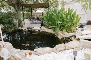 Image of The Koi House Georgetown: 35 Minutes from Downtown Austin and Airport