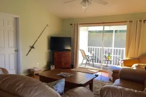 Image of Manatee perch in Crystal River